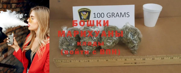 дживик Надым