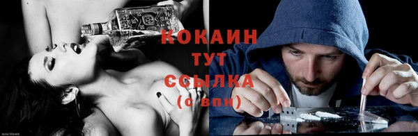 винт Абаза
