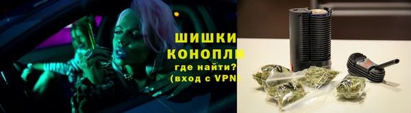 винт Абаза