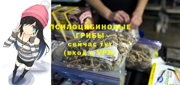 винт Абаза