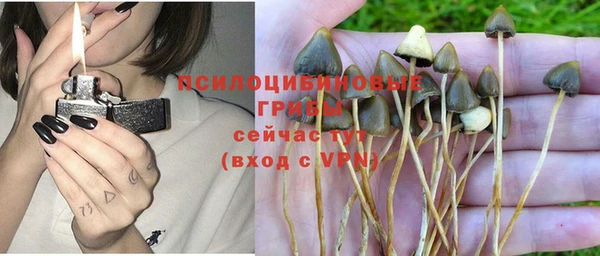 МДПВ Абинск